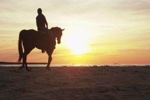 finikiahorseriding-afternoon300x200.jpg